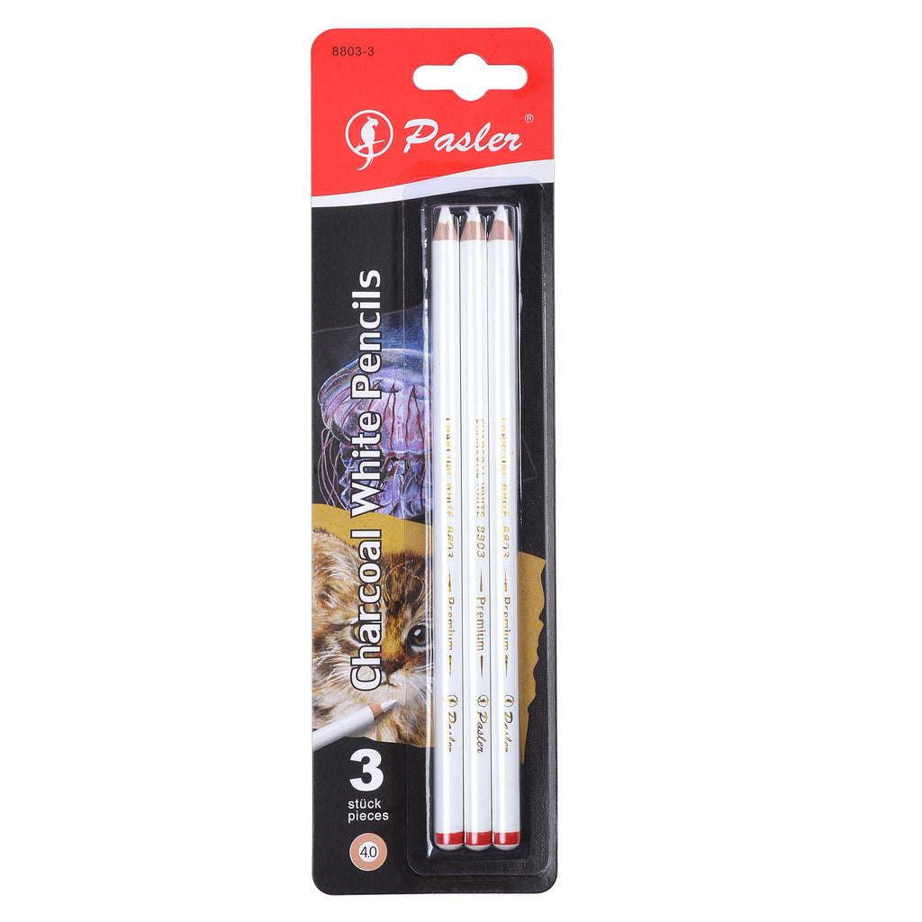 Charcoal White Pencils – Pasler Art