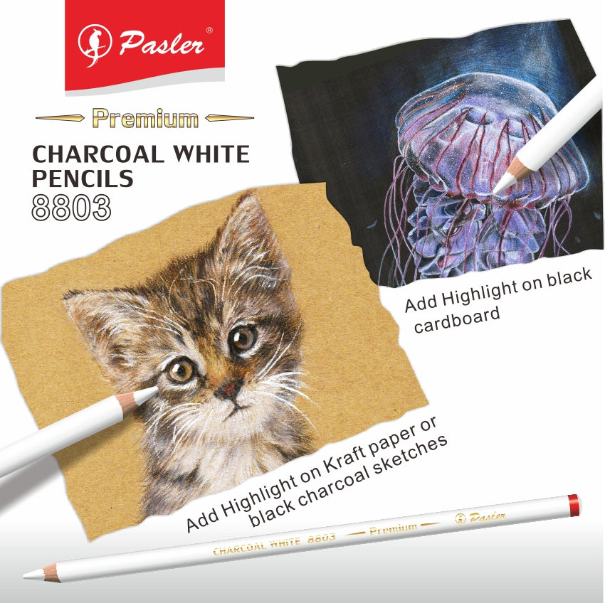 Buy Lakeer White Charcoal Pencil Set of 3 Premium Pencil for