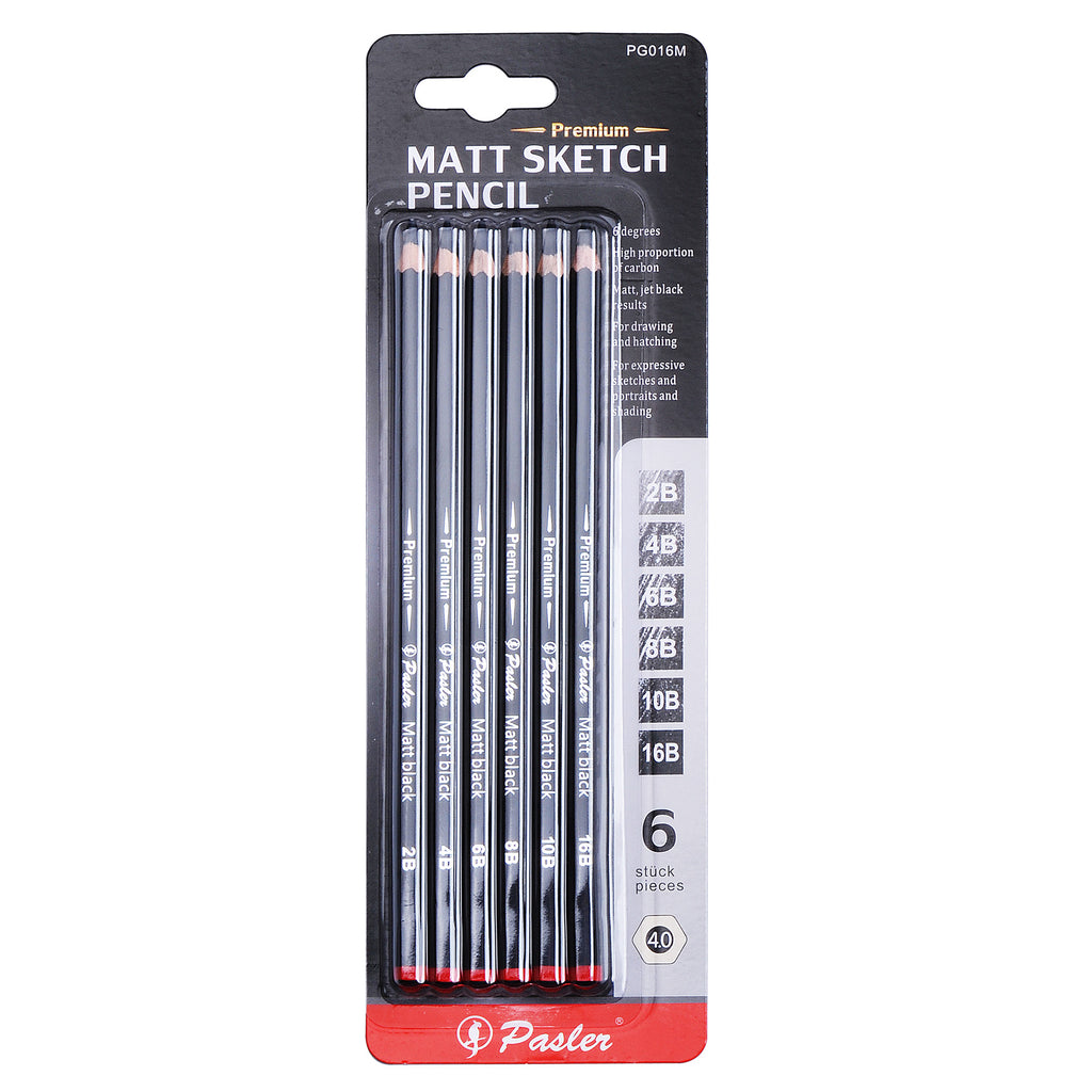 Worison Drawing And Sketching Pencils 24 Pencil Set of 19 sketch pencils, 3  charcoal pencils, 1 graphite pencil and 1 eraser pencil – Saksham Art and  Science